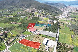 Αγροτεμάχια 4.244 τ.μ. για πώληση