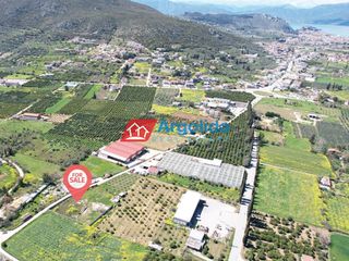 Αγροτεμάχια 4.244 τ.μ. προς πώληση, Αριά Ναυπλίου-thumb-6