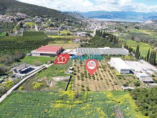 Αγροτεμάχια 4.244 τ.μ. προς πώληση, Αριά Ναυπλίου-thumb-9