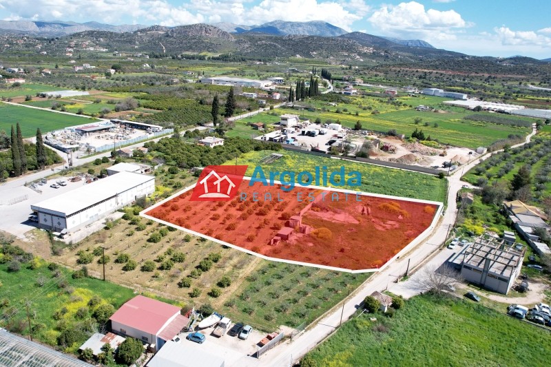 Αγροτεμάχια 4.244 τ.μ. προς πώληση, Αριά Ναυπλίου