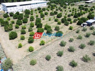 Αγροτεμάχια 4.244 τ.μ. προς πώληση, Αριά Ναυπλίου-thumb-16