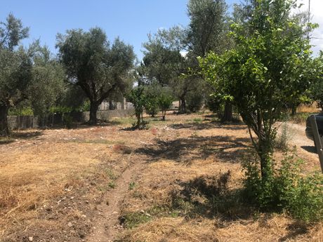 Land plot 570 sqm for sale