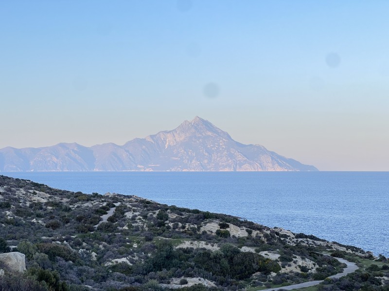 Οικόπεδο 500 τ.μ. προς πώληση, Σκάλα Συκέας