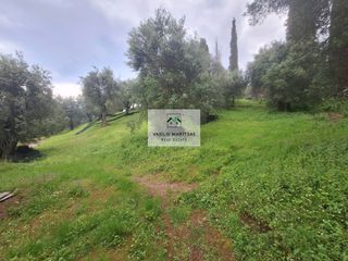Οικόπεδο 5.775 τ.μ. για πώληση, Ν. Κέρκυρας, Κέρκυρα-thumb-4
