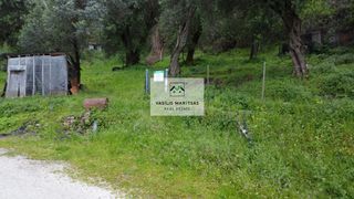 Οικόπεδο 5.775 τ.μ. για πώληση, Ν. Κέρκυρας, Κέρκυρα-thumb-3