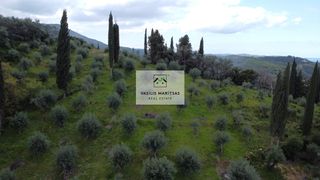 Οικόπεδο 5.775 τ.μ. για πώληση, Ν. Κέρκυρας, Κέρκυρα-thumb-16