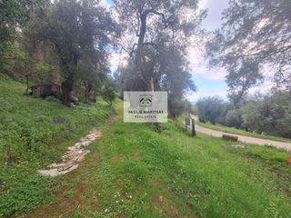 Οικόπεδο 5.775 τ.μ. για πώληση, Ν. Κέρκυρας, Κέρκυρα-thumb-10