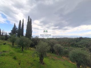 Οικόπεδο 5.775 τ.μ. για πώληση, Ν. Κέρκυρας, Κέρκυρα-thumb-6