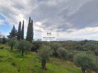 Οικόπεδο 5.775 τ.μ. για πώληση, Ν. Κέρκυρας, Κέρκυρα-thumb-18