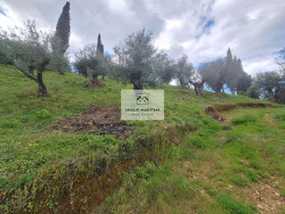 Οικόπεδο 5.775 τ.μ. για πώληση, Ν. Κέρκυρας, Κέρκυρα-thumb-11