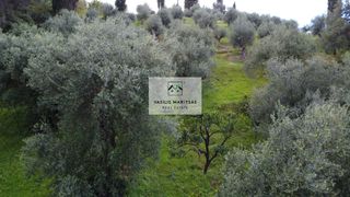 Οικόπεδο 5.775 τ.μ. για πώληση, Ν. Κέρκυρας, Κέρκυρα-thumb-22
