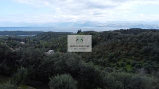 Οικόπεδο 5.775 τ.μ. για πώληση, Ν. Κέρκυρας, Κέρκυρα-thumb-17