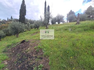 Οικόπεδο 5.775 τ.μ. για πώληση, Ν. Κέρκυρας, Κέρκυρα-thumb-12