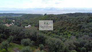 Οικόπεδο 5.775 τ.μ. για πώληση, Ν. Κέρκυρας, Κέρκυρα-thumb-2