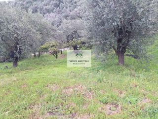 Οικόπεδο 5.775 τ.μ. για πώληση, Ν. Κέρκυρας, Κέρκυρα-thumb-13