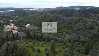 Οικόπεδο 5.775 τ.μ. για πώληση, Ν. Κέρκυρας, Κέρκυρα-thumb-19