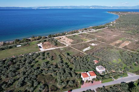 Αγροτεμάχια 265τ.μ. για πώληση-Θάσος » Σκάλα σωτήρος