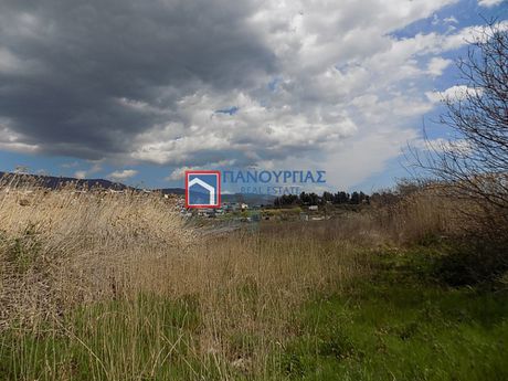 Αγροτεμάχια 6.500τ.μ. για πώληση-Λαμία » Αγία παρασκευή