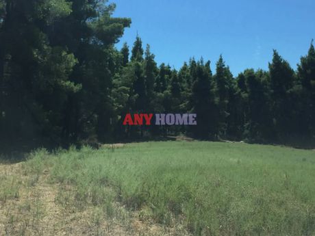 Parcel 6.250sqm for sale-Kassandra » Filakes Xenofonta