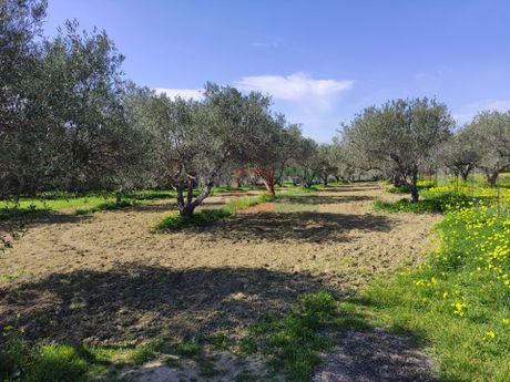 Οικόπεδο 1.359τ.μ. για πώληση-Γούβες