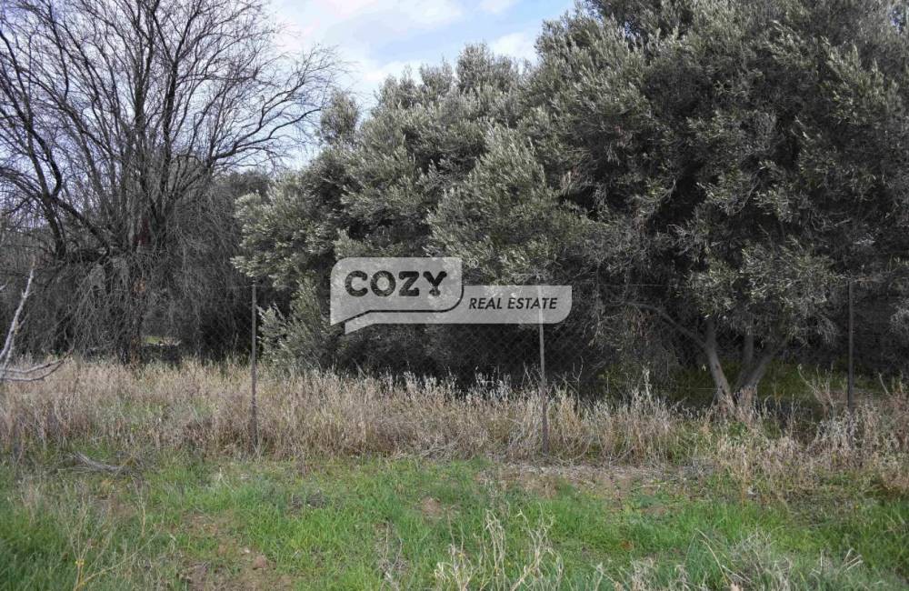 Οικόπεδο 274 τ.μ. προς πώληση, Παλαιόκαστρο Ωραιοκάστρου