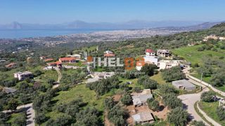 Μονοκατοικία 360 τ.μ. για πώληση, Αχαΐα, Μεσσατίδα-thumb-14