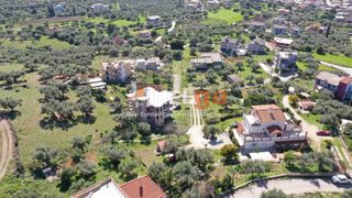 Μονοκατοικία 360 τ.μ. για πώληση, Αχαΐα, Μεσσατίδα-thumb-4