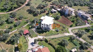 Μονοκατοικία 360 τ.μ. για πώληση, Αχαΐα, Μεσσατίδα-thumb-6
