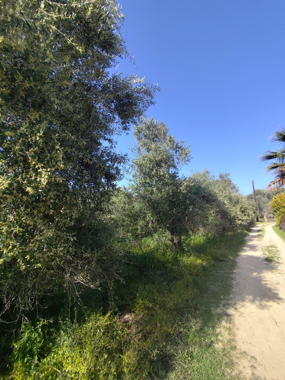 Land plot 3.671 sqm for sale, Rethymno Prefecture, Arkadi
