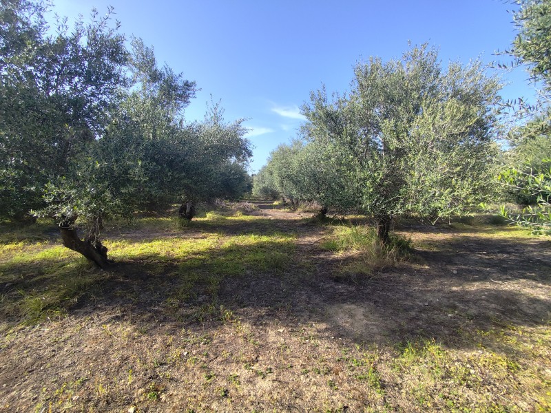 Οικόπεδο 3.671 τ.μ. για πώληση, Ν. Ρεθύμνου, Αρκάδι