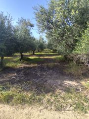 Οικόπεδο 3.671 τ.μ. για πώληση, Ν. Ρεθύμνου, Αρκάδι-thumb-2