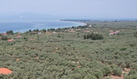 Αγροτεμάχια 917τ.μ. για πώληση-Θάσος » Σκάλα σωτήρος