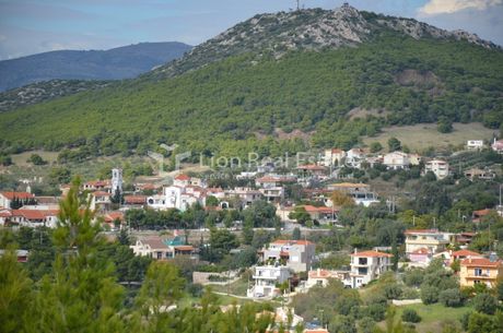 Οικόπεδο 1.000τ.μ. για πώληση-Λαύριο » Άνω θορικό
