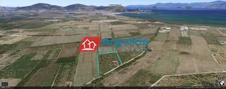 Αγροτεμάχια 6.550 τ.μ. για πώληση