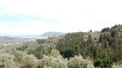 Parcel 6.000sqm for sale-Lefkada » Ellomeno