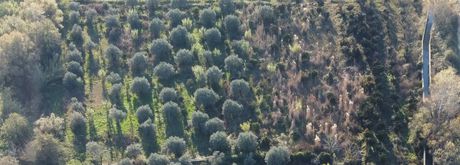 Parcel 10.000 sqm for sale
