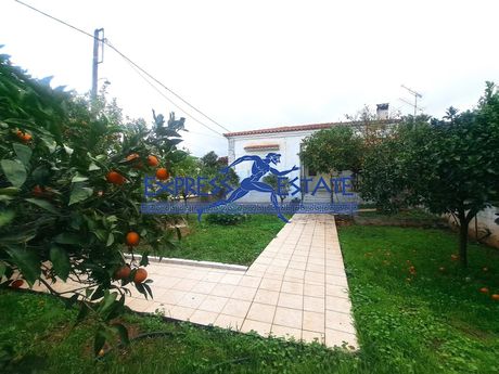 Μονοκατοικία 120 τ.μ. για πώληση