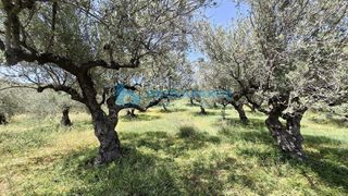 Οικόπεδο 2.870 τ.μ. για πώληση, Ν. Ηρακλείου, Αρχάνες-thumb-8