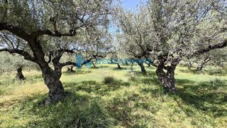 Οικόπεδο 2.870 τ.μ. για πώληση, Ν. Ηρακλείου, Αρχάνες-thumb-11