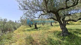 Οικόπεδο 2.870 τ.μ. για πώληση, Ν. Ηρακλείου, Αρχάνες-thumb-12