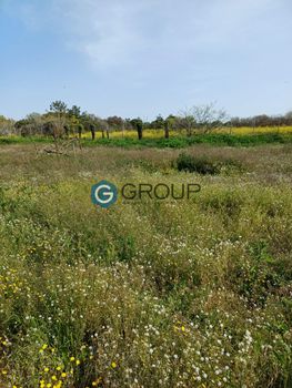 Land plot 2.600sqm for sale-Alexandroupoli » Agios Vasilios