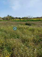 Οικόπεδο 2.600 τ.μ. για πώληση