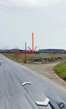 Αγροτεμάχια 6.027τ.μ. για πώληση-Εχέδωρος