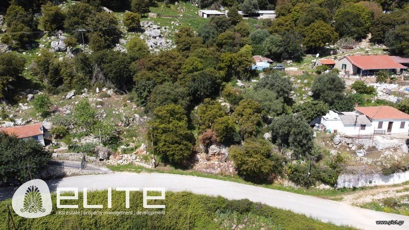 Οικόπεδο 3.104,77 τ.μ. προς πώληση, Ελειός - Πρόννοι