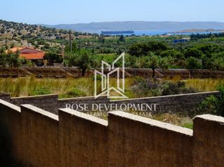 Αγροτεμάχια 550 τ.μ. για ενοικίαση