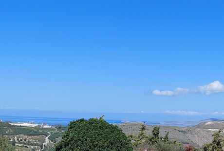 Αγροτεμάχια 1.500τ.μ. για πώληση-Γούβες » Ελιά