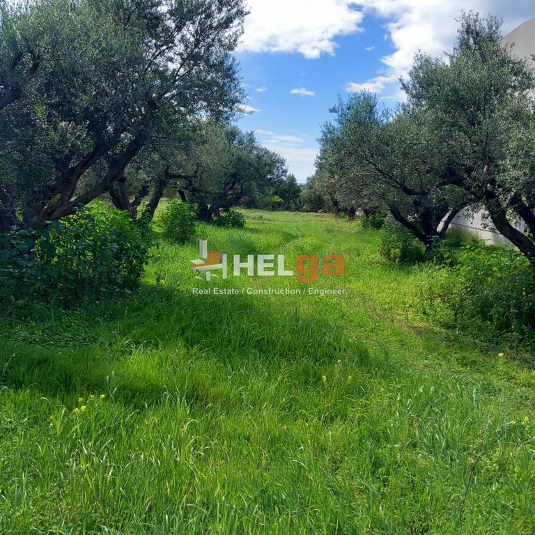 Οικόπεδο 1.077 τ.μ. προς πώληση, Αραχωβίτικα Ρίου