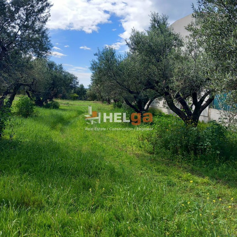 Οικόπεδο 1.077 τ.μ. προς πώληση, Αραχωβίτικα Ρίου