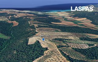 Αγροτεμάχια 8.000 τ.μ. για πώληση