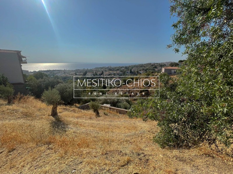 Οικόπεδο 1.128 τ.μ. προς πώληση, Ομηρούπολη